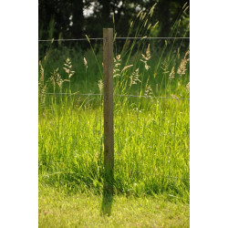 Tvoros stulpas Mediena 126cm x 26x38mm ruda Gallagher 007733GAL