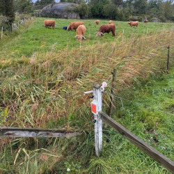 AKO įspėjamasis ženklas 44623