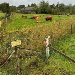 AKO įspėjamasis ženklas 44623