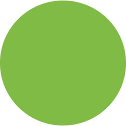 Vartų rankena, neoninė žalia 44959