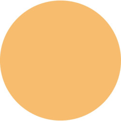 Vartų rankena, neoninė oranžinė 44960