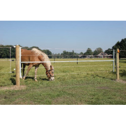 Elektrifikuoti plieniniai vartai 001064GAL