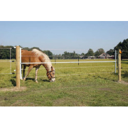 Elektrifikuoti plieniniai vartai 001064GAL