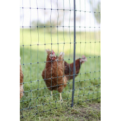 Paukštiena E-net 122cm 50m DP žalia 292413