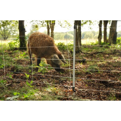 Šernų tinklas (75cm x50m) 062973GAL