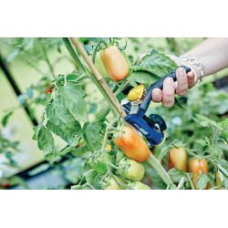 Sodo tvirtinimo replės GP238 G&F Rapid 24311200