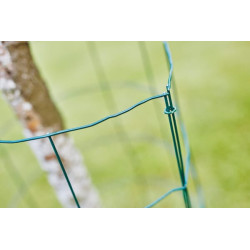 Tvoros replės, FP222 23468100