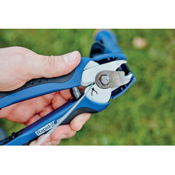 Tvoros replės, FP222 23468100