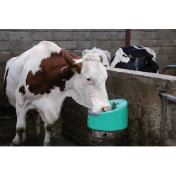 Gertuvė Stalcho 2 (24V/50W) BU1641