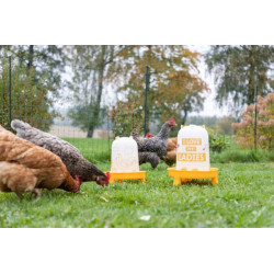 Plastikinė gertuvė 5l oranžinė 70167KER