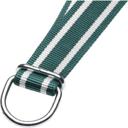 Apykaklė 130x4 cm žalia ir balta Standartinis 803016KR