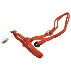 Stumdomas apynasris karvė 3995103