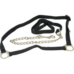 Galvijų apynasris VV12512