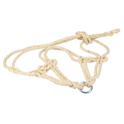 Dvigubas sizalio apynasris TZ2000