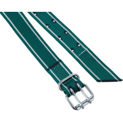 Antkaklis jauniems jaučiams 150x5cm 803051KR