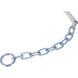 Antkaklis galvijams SÜDSTALL dvisluoksnis, 190cm 803074KR