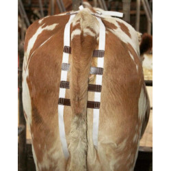 Prolapso diržai 1031KER