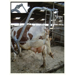 Kanopų priežiūros rėmas su kojų atrama 1641021002