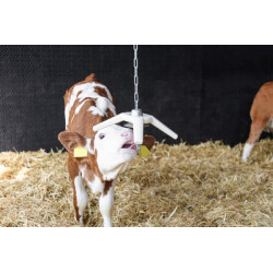 Kiaulės žaislas BiteStar su grandinėle 75cm 22691KER