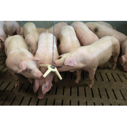 Kiaulės žaislas BiteStar su grandinėle 75cm 22691KER