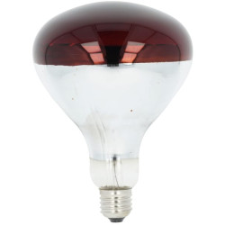 Infraraudonųjų spindulių lempa 250W raudona 22245KER
