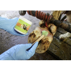 Kanopų pasta Podoseptan 2.0 450ml 16363