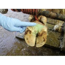 Kanopų pasta Podoseptan 2.0 450ml 16363