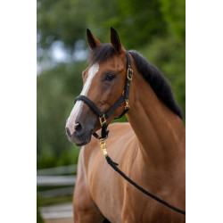 Apynasris Topline juodas Full 3224617