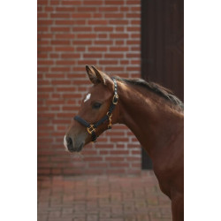 Antkaklis su kumeliuko galvute TopLine juodas 3224748