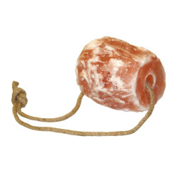 Himalajų arklio laižymas 1617321554