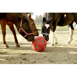 Feed Play Ball raudonas arkliams 3210386KER