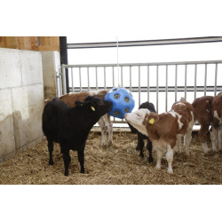 Pašarų žaidimo kamuoliukas mėlynas arkliams 3210385KER