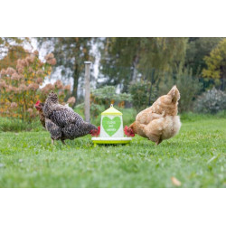 Lesyklėlė 2,4l/2 kg žalia 70168KER