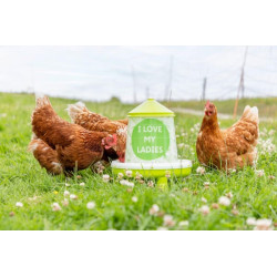 Tiektuvas 4,8l/4kg žalias 70169KER