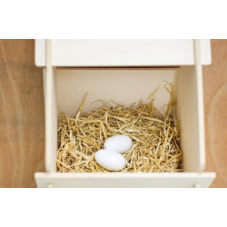 Dirbtinis lizdinis kiaušinis Baltas medyje, 2 vnt 1646706012