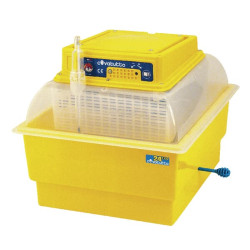 Maxi inkubatorius VV73051