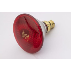 Econ, infraraudonųjų spindulių lempa 100W raudona 22246KER