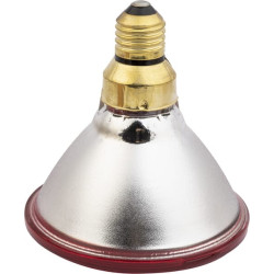 Econ, infraraudonųjų spindulių lempa 100W raudona 22246KER