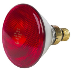Infared šviesa, 100W, raudona, Farma 802007FA