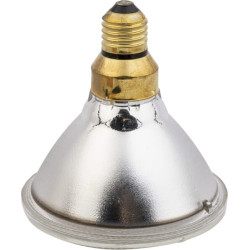 Econ, infraraudonųjų spindulių lempa 100W skaidri 22242KER