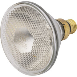 Econ, infraraudonųjų spindulių lempa 100W skaidri 22242KER