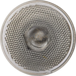 Econ, infraraudonųjų spindulių lempa 100W skaidri 22242KER