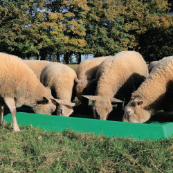 Lesyklėlė 1 m BUD238