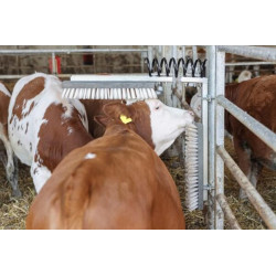 Atsarginis šepetys 50 x 10 cm VV29305