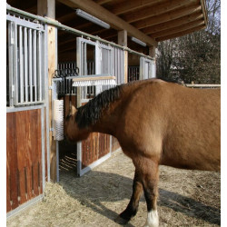 Galvijų šepetys Teksasas, komplektas 29310