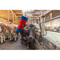 Galvijų šepetys Maxi 18865