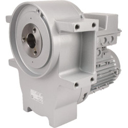 Variklis ir pavarų dėžė 61022037