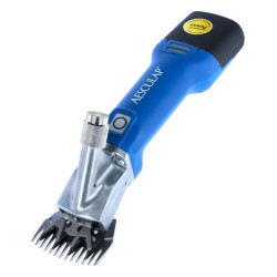 Clippers, Econom CL avims GT824