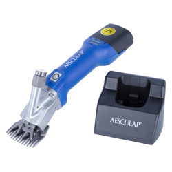 Clippers, Econom CL avims GT824