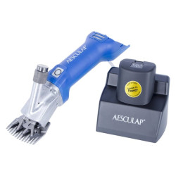 Clippers, Econom CL avims GT824